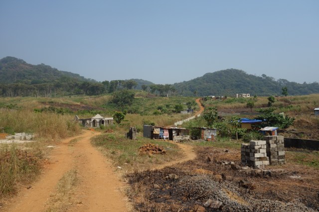 P6 Near the buffer zone, Baw-Baw, 2018