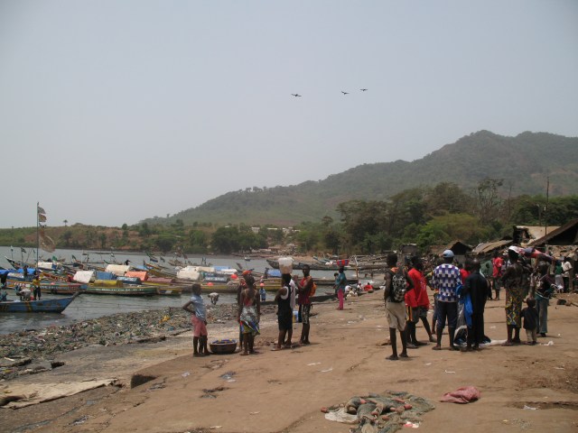 P8 Tombo fishing harbour, 2012